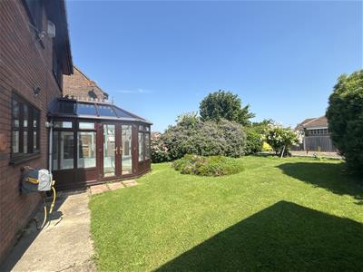 Picture 17